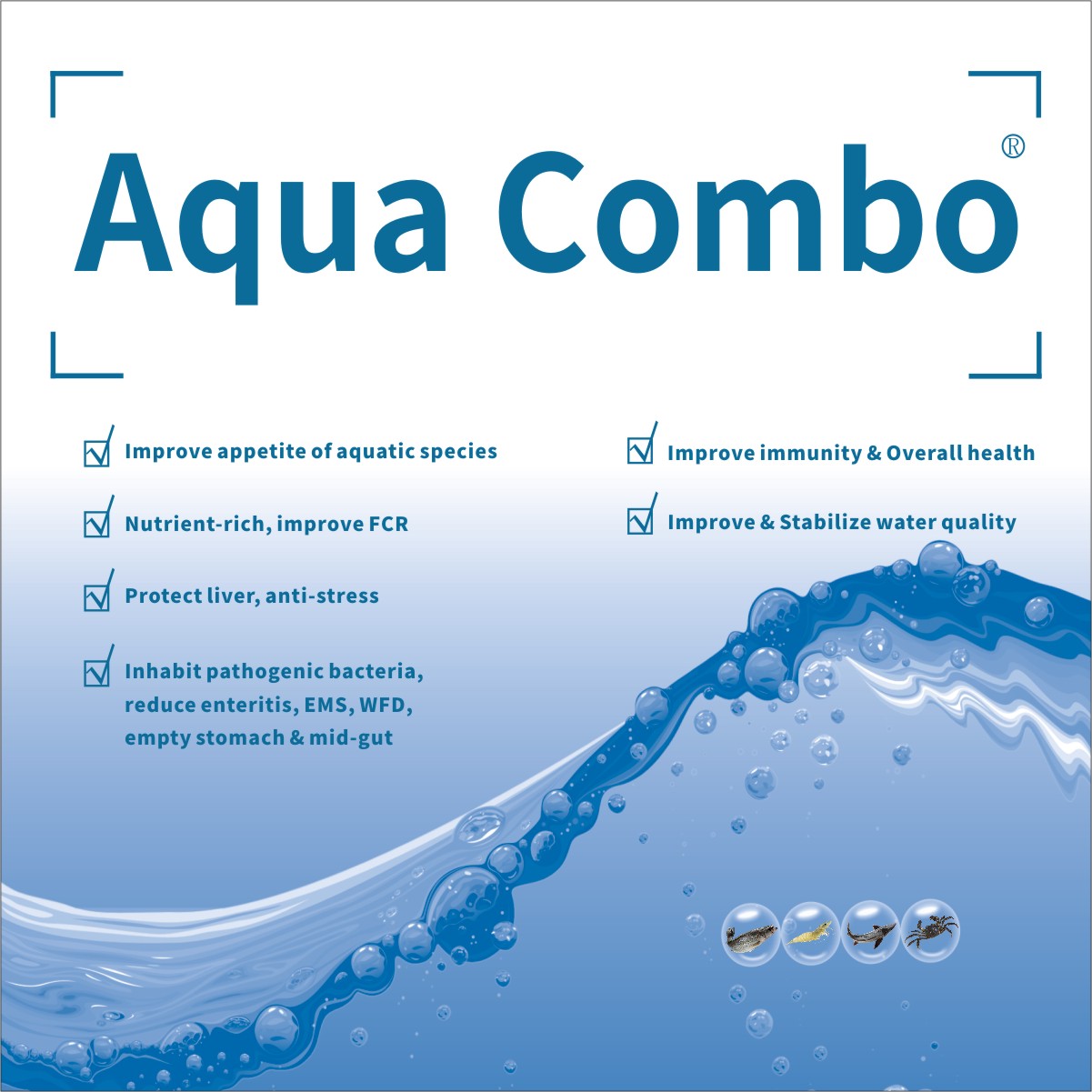  Aqua Combo 